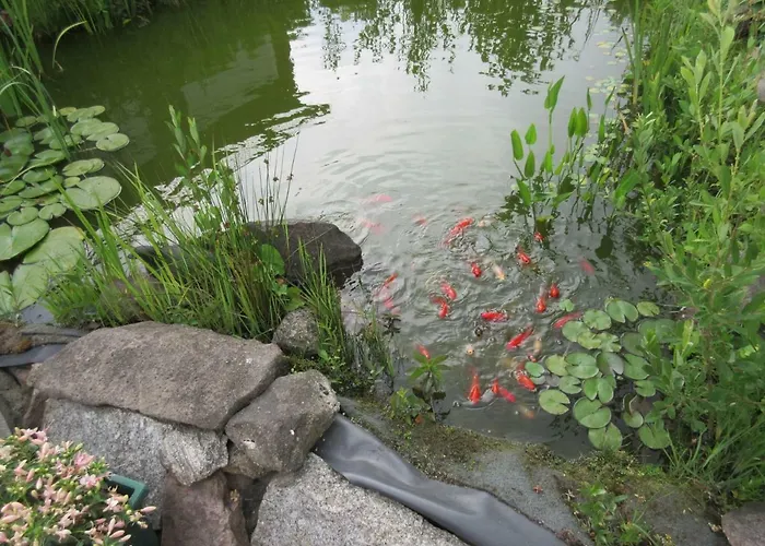 アパート Rogge *